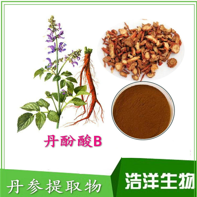 原兒茶醛20% 15% 10% 5% 1% 丹參提取物 丹參系列產品