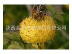 植物提取物-供應(yīng)優(yōu)質(zhì)廠家【野刺梨提取物 】◢◣阿里誠(chéng)信商家◢◣-植物提取物盡在阿.