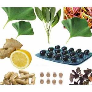 石杉堿甲,千層塔提取物,銀杏葉提取物,植物提取物,中藥材