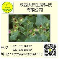 供應(yīng)牛蒡子提取物 植物提取物 廠家直銷批發(fā)價格@西安 陜西大田生物 植物提取物-