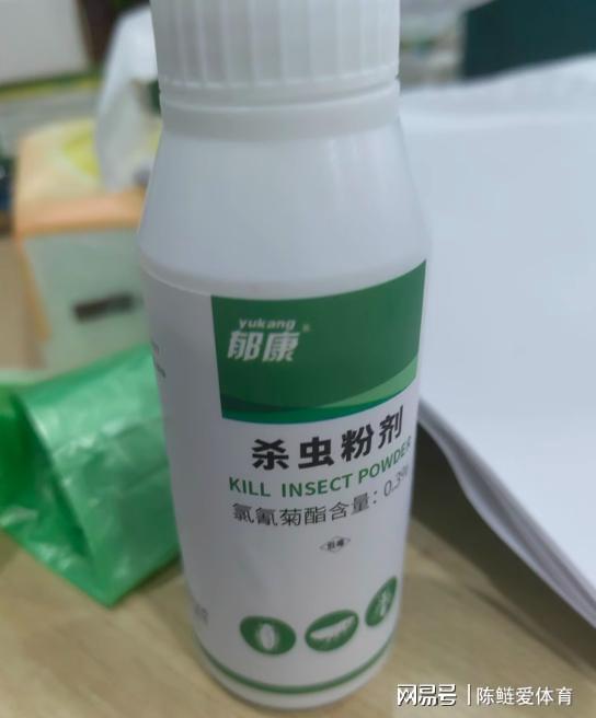 家里有潮蟲怎么辦？植物提取物助你徹底清除