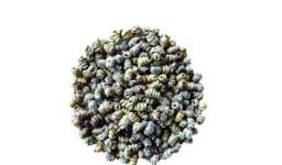 普洱植物提取物的特性與應用前景