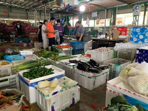 民生商品儲備充足 市民生活保障無憂